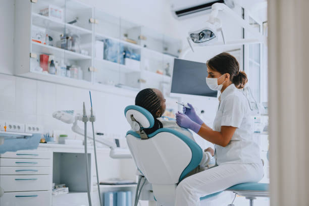 Professional  Holistic Dental Services in Grosse Pointe Park, MI
