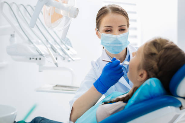  Grosse Pointe Park, MI Holistic Dental Services Pros